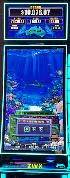 Basketball Betting zwx